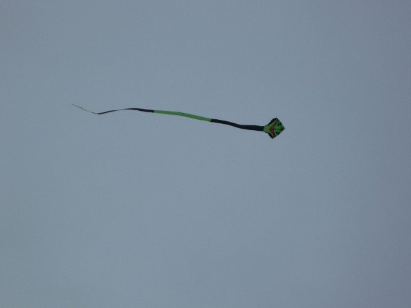 img00011