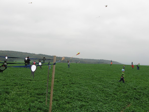 img00015