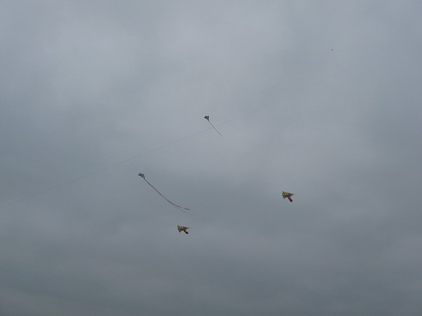 img00019