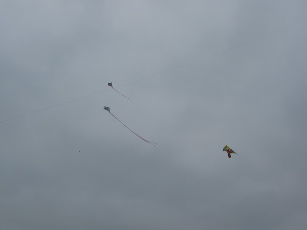 img00021