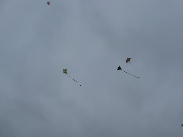img00025