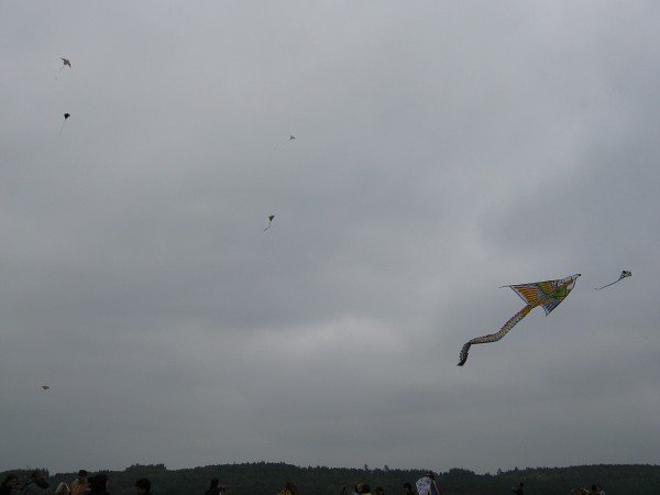 img00028