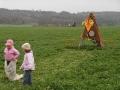 img00003