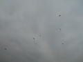 img00004