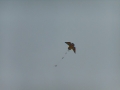 img00008