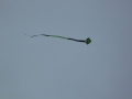 img00011