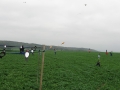 img00015