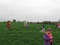 img00017