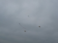 img00019