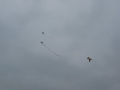 img00021