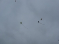 img00025