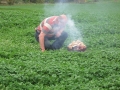 img00026